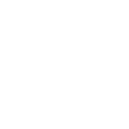 Logo for Solipsis Development